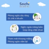 Xịt Chống Sâu Răng Sachi 30Ml Cho Bé Tặng Kèm Bàn Chải L104 - Lady'S Passion - Ảnh 6