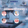 Nước Súc Miệng Blowhale 500Ml -Làm Sạch Mảng Bám, Chống Sâu Răng, Hơi Thở Thơm Mát Hàn Quốc Mpf18 - Min Corner - Ảnh 3