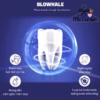 Nước Súc Miệng Blowhale 500Ml -Làm Sạch Mảng Bám, Chống Sâu Răng, Hơi Thở Thơm Mát Hàn Quốc Mpf18 - Min Corner - Ảnh 4