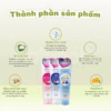(Chính Hãng) Sữa Rửa Mặt Kose Softymo Lành Sạch, Cấp Ẩm Và Dưỡng Trắng Mịn - Ảnh 4