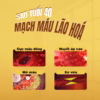 Viên Uống Ngăn Ngừa Đột Quỵ Và Bổ Não Nattou Ichou Nhật Bản - Dạng Túi 30 Viên (10-15 Ngày) - Ảnh 5