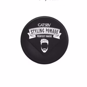 [Chính Hãng] Pomade Tạo Kiểu Tóc Gatsby Styling Pomade Perfect Raise 75G -Gdn