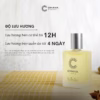 Nước Hoa Nam Mini Simple Levi 15Ml Phong Cách Lăn - Chava - Ảnh 2
