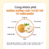 Nước Ép Lê Rễ Hoa Chuông Đen Hữu Cơ Cho Bé 1 Tuổi Aram Farm Giúp Tăng Đề Kháng Hô Hấp, Bổ Sung Vitamin, Không Đườngnước Ép Lê Rễ Hoa Chuông Đen Hữu Cơ Cho Bé 1 Tuổi Aram Farm Giúp Tăng Đề Kháng Hô Hấp, Bổ Sung Vitamin, Không Đường - Ảnh 2