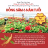 Nước Hồng Sâm Hi Dino Cho Bé 1 Tuổi Aram Farm, Sử Dụng Hồng Sâm 6 Năm Tuổi Giúp Bé Bổ Sung Đề Kháng, Không Chất Bảo Quản - Ảnh 8
