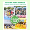 Thạch Dinh Dưỡng Cho Bé 1 Tuổi Aram Farm Bổ Sung Chất Xơ Từ 23 Loại Rau Củ, An Toàn, Không Chất Bảo Quản - Ảnh 8