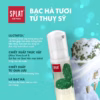 Bọt Vệ Sinh Răng Miệng Splat Express Oral Care Hương Bạc Hà The Mát Bảo Vệ Nướu Chắc Khỏe 50Ml - Date 05/2026 - Ảnh 4