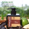 Cốt Bồ Kết Thảo Mộc Sạch Gàu Mọc Tóc Wonmom 250Ml - Ảnh 2