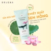 Set 2 Sản Phẩm Sạch Da Orjena Sữa Rửa Mặt 180Ml + Nước Tẩy Trang 300Ml - Ảnh 2