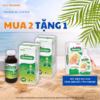 Siro Ho Anviho Hỗ Trợ Giảm Tăng Tiết Đờm Ho Nhiều Đau Rát Họng Khản Tiếng Do Viêm Họng Chai 100Ml - Ảnh 2