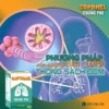 Copdhel Cường Phế - Frize - Ảnh 4