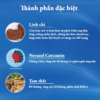 Viên Uống Hỗ Trợ Phòng Ngừa U Xơ U Nang An Nữ Đan - Dân Khang - Ảnh 6