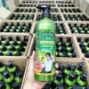Kem Xả Tinh Dầu Bưởi Cao Cấp 850Ml - Lucky Star - Ảnh 6