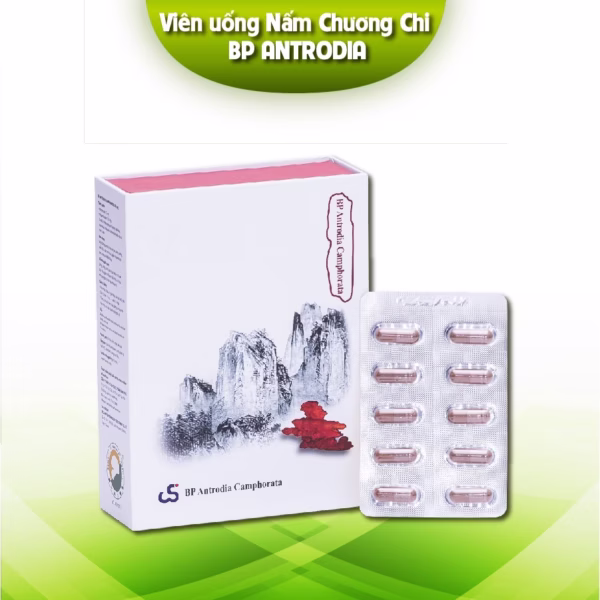 Viên Ngăn Ngừa Đa Kháng Thuốc Trong Hóa Trị Liệu Bp Antrodia Camphorata - Bp Pharma