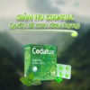 Viên Nang Mềm Giảm Ho Và Đau Họng Codatux - Bp Pharma - Ảnh 4