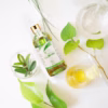 Tinh Dầu Tràm Bé Yêu 100Ml - Bdcare - Ảnh 2