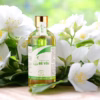 Tinh Dầu Tràm Bé Yêu 100Ml - Bdcare - Ảnh 6