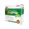 Hoạt Huyết Dưỡng Não Gingpro - Starusa - Ảnh 2