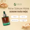 Serum Dành Cho Da Mụn Herbal Anti 50Ml - Acne Serum - Mộc Thiên Hương - Ảnh 14