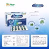 Viên Uống Anvicoline Hỗ Trợ Hoạt Huyết Dưỡng Não Giúp Cải Thiện Đau Đầu Hoa Mắt Chóng Mặt Hộp 30 Viên - Ảnh 3
