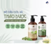 Dầu Gội Thảo Dược True Organic 300Ml - Ecocare - Ảnh 7