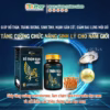 Viên Uống Bổ Thận Đan Maxx Hỗ Trợ Bổ Thận Giảm Tiểu Đêm Tiểu Nhiều Lần Tiểu Không Tự Chủ Do Chức Năng Thận Kém Hộp 30 Viên - Ảnh 2