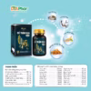 Viên Uống Bổ Thận Đan Maxx Hỗ Trợ Bổ Thận Giảm Tiểu Đêm Tiểu Nhiều Lần Tiểu Không Tự Chủ Do Chức Năng Thận Kém Hộp 30 Viên - Ảnh 3