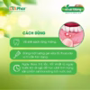 Gel Nhiệt Miệng Giúp Tiêu Nhiệt Giải Độc Làm Lành Vết Thương Kháng Viêm Kháng Khuẩn Do Nóng Trong Miệng Tuýp 10Gr - Ảnh 3