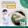 Ống Uống For Kids Brain Iq Bổ Sung Taurine,Choline, Vitamin B6 Hổ Trợ Phát Triển Trí Não 20 Ống- Singcare - Ảnh 4