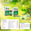 Siro Thường Xuân Hỗ Trợ Bổ Phế Hạn Chế Ho Nhiều Giảm Tăng Tiết Đờm Giúp Ấm Cổ Họng Giảm Ngứa Do Ho Kéo Dài Hộp 20 Gói Và Chai 100Ml - Ảnh 5