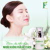 Melasma Green 21 - Phan An Green - Ảnh 6