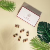 Set Tinh Chất Tế Bào Gốc Phục Hồi Tế Bào Da, Chống Nhăn - Dr.Dy - Ảnh 2