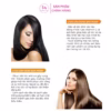 Bộ Dầu Gội Hà Thủ Ô Gừng - Weilaiya - Ảnh 6