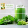 Cần Tây Mật Ong Collagen Giảm Cân Làm Đẹp - Trường Thịnh Phát - Ảnh 3