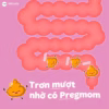 Combo 3: Hỗ Trợ Giảm Táo Bón, Rối Loạn Tiêu Hóa Livespo Preg-Mom Hộp 20 Ống - Livespo Pharma - Ảnh 2