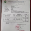 Combo 100 Cái Khẩu Trang Kf94 Chống Bụi Siêu Mịn Duy Khánh Ctb74 - Bechp - Ảnh 13