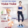 Đĩa Xoay Eo Tập Thể Dục Xoay 360 Độ Eo Thon, Giảm Cân, Giảm Mỡ Bụng Hiệu Quả Ctb94 - Bechip - Ảnh 8