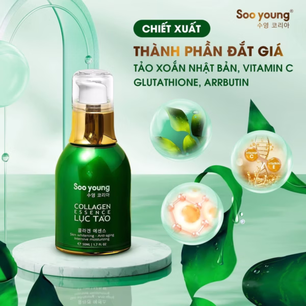 Serum Lục Tảo Collagen Essence - Soo Young