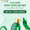 Serum Lục Tảo Collagen Essence - Soo Young - Ảnh 3