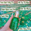 Serum Lục Tảo Collagen Essence - Soo Young - Ảnh 15