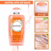 Dung Dịch Vệ Sinh Phụ Nữ Cao Cấp Hằng Ngày Intimate Skin Care Daily Wash 250Ml - Femfresh - Ảnh 4