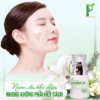 [Combo] 2 Hộp Viên Uống Trắng Da Nine’S Beauty + 1 Melasma Green 21 - Phan An Green - Ảnh 13