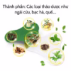 Hộp 12 Miếng Dán Vai Gáy Ngải Cứu Thảo Dược Giảm Đau Nhức Hiệu Quả Ctb161 - Bechip - Ảnh 9