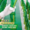 Sữa Rửa Mặt Lục Tảo_Soo Young - Ảnh 6