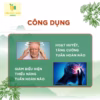 Hộp 60V Viên Uống Bổ Não Hoạt Huyết Tpn Thành Phần Chính Ginkgo Biloba - Tpn - Ảnh 2