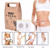 Hộp 40 Miếng Dán Rốn Giảm Béo - Gdn - Ảnh 2