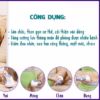 Máy Massage Toàn Thân Cầm Tay Relax Spin Tone 5 Đầu Cao Cấp Siêu Mạnh Gd070 - Lady'S Passion - Ảnh 3