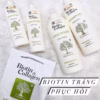 Cặp Gội Xả Phục Hồi Tóc Suôn Mượt, Dày Chắc Khỏe Biotin Collagen Ý - Yuluim - Ảnh 4