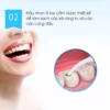 Hộp Tăm Chỉ Nha Khoa Tiệt Trùng Sợi Chỉ Vệ Sinh Răng Miệng 1 Hộp 50 Chiếc Gd099 - Lady'S Passion - Ảnh 5