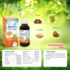 Siro Anviho Hỗ Trợ Giảm Tăng Tiết Đờm Ho Nhiều Đau Rát Họng Khản Tiếng Do Viêm Họngchai 100Ml Phiên Bản Mới - Ảnh 3